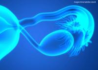 Fuzuloparib monotherapy and as a combination with apatinib improved PFS as maintenance therapy in patients with ovarian cancer harboring BRCA1/2 mutations.