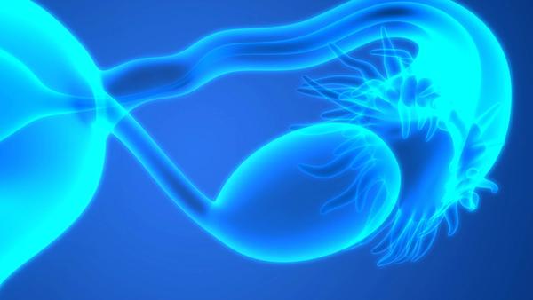 Fuzuloparib monotherapy and as a combination with apatinib improved PFS as maintenance therapy in patients with ovarian cancer harboring BRCA1/2 mutations.