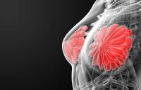 Data from the VIKTORIA-1 trial support the PAM pathway as a molecular driver in HR-positive, HER2-negative breast cancer of any PIK3CA mutation status.