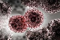 Poster presentations at ELCC 2026 highlighted potential advances in neoadjuvant immunotherapy, intratumoral radioenhancers, and other modalities.