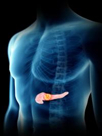 VS-7375 Yields Responses in KRAS G12D–Mutated Solid Tumors: © Sebastian Kaulitzki - stock.adobe.com