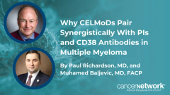 Why CELMoDs Pair Synergistically With PIs and CD38 Antibodies in Multiple Myeloma