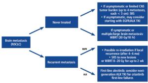 Systemic Treatment Options for Brain Metastases from Non–Small-Cell Lung Cancer