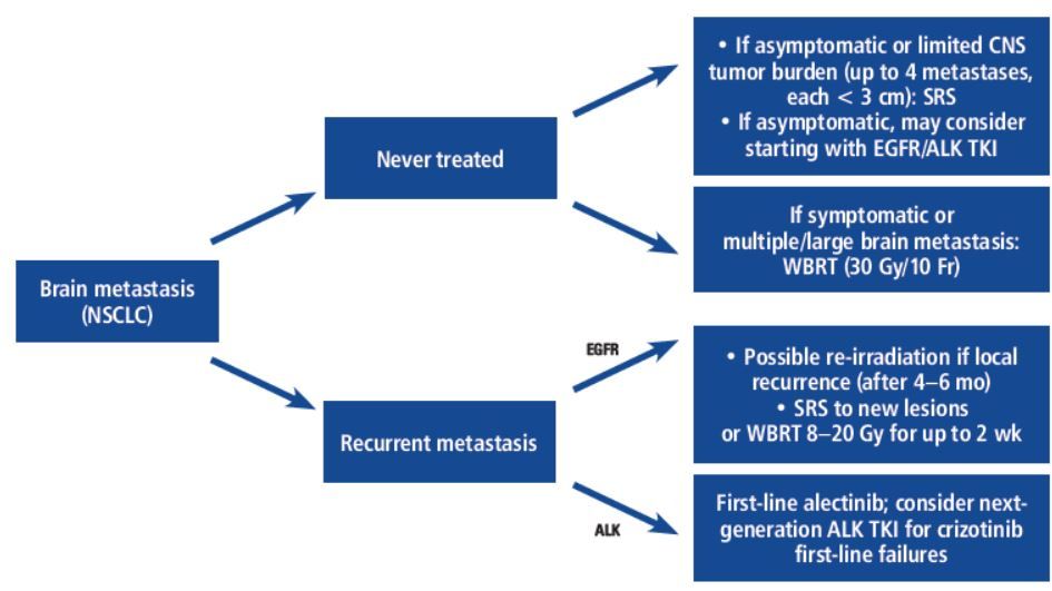 Systemic Treatment Options For Brain Metastases From Non Small Cell Lung Cancer