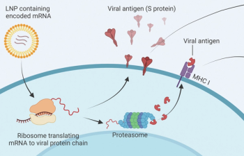 COVID-19 Vaccination in Patients With Cancer and Recipients of Cellular Therapy