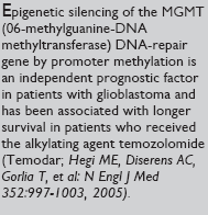 Primary And Metastatic Brain Tumors Cancer Network