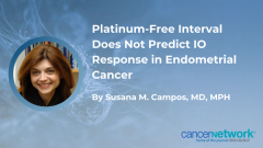 Platinum-Free Interval Does Not Predict IO Response in Endometrial Cancer