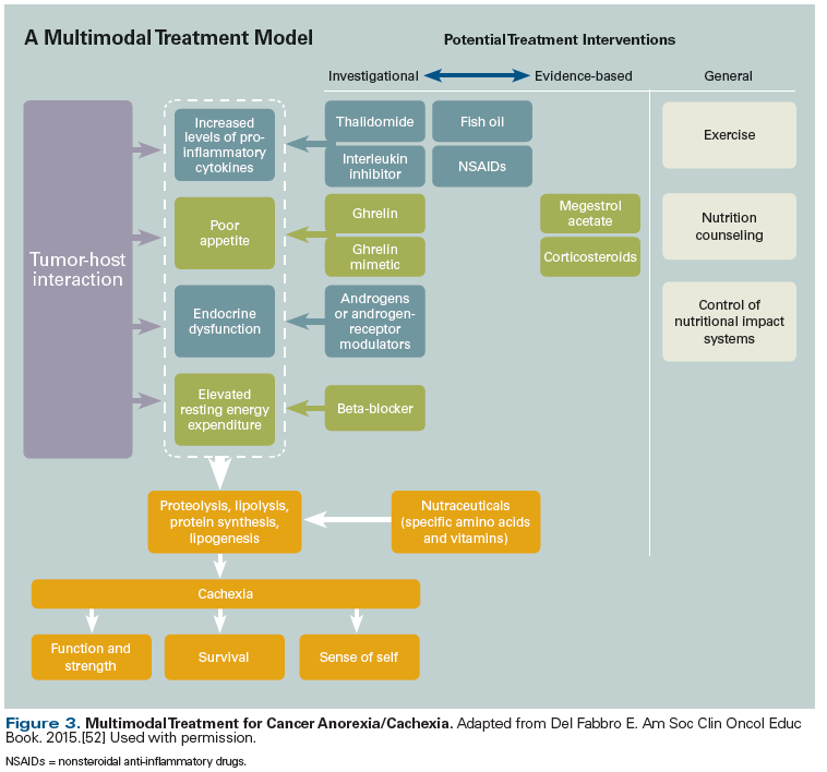 The Evolving Approach To Management Of Cancer Cachexia The Evolving Approach To Management Of Cancer Cachexia