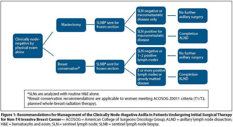 Active surveillance of patients who have sentinel node positive