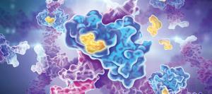 Targeting PARP in Prostate Cancer: Novelty, Pitfalls, and Promise