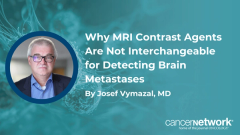 Josef Vymazal, MD, explained why high-relaxivity contrast agents are critical for detecting small brain metastases, despite weaker agents remaining suitable for other indications.