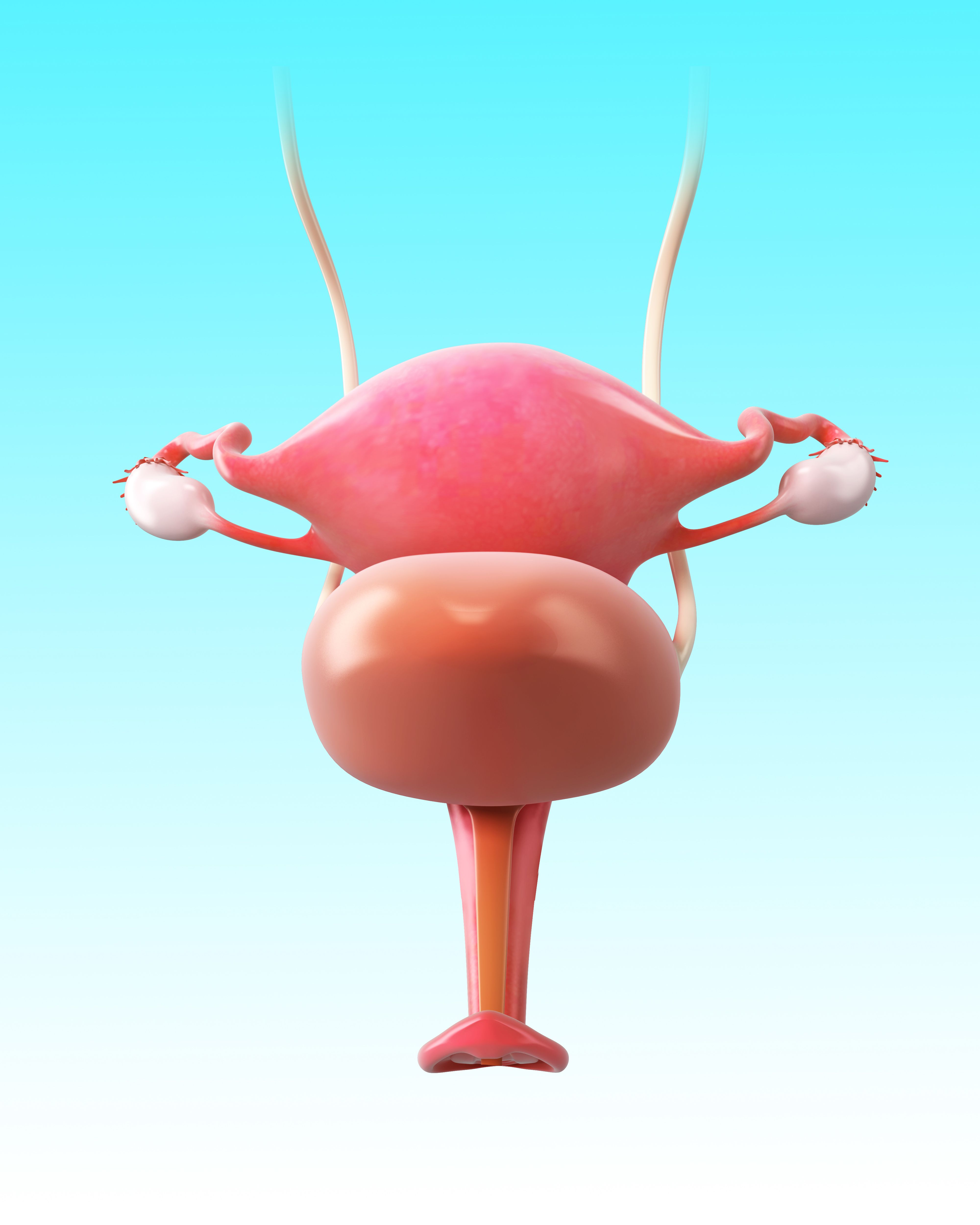 Patients with BCG-unresponsive non-muscle invasive bladder cancer may benefit from treatment with avelumab and BCG induction therapy
