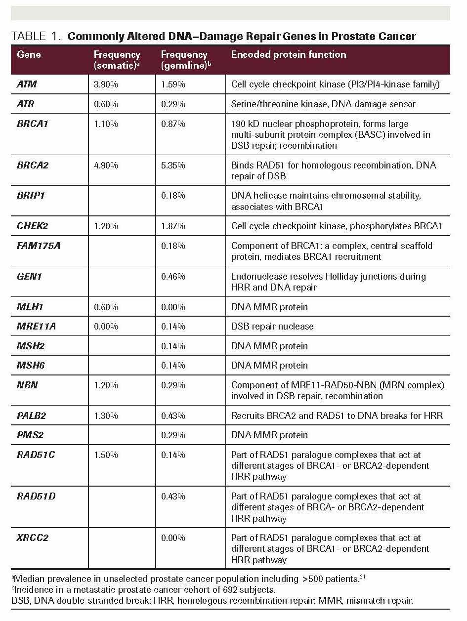 TABLE 1. Commonly Altered DNA–Damage Repair Genes in Prostate Cancer