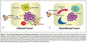 Prognostic and Predictive Markers for the New Immunotherapies  