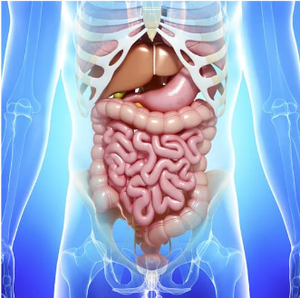 Casting a Wide NET: When Is the Optimal Time for 177Lu-Dotatate Treatment?