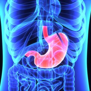 The incidence of grade 3 to 4 acute toxicities was similar in patients with high-risk gastric cancer treated with chemoradiation or chemotherapy.