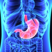 Patient characteristics such as female sex and receipt of pylorus-preserving gastrectomy were protective of gallstone disease risk in those who had gastric cancer.