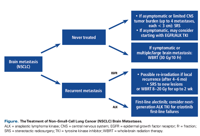 Systemic Treatment Options For Brain Metastases From Non Small Cell Lung Cancer