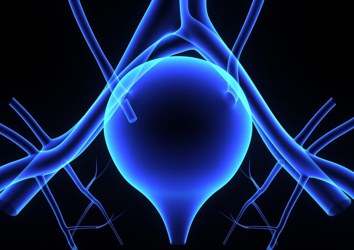 A manageable safety profile was observed across 2 expansion doses of the combination in urothelial cancer, consistent with known adverse effects of both drugs.
