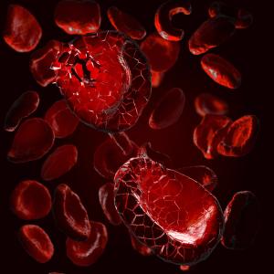 Belantamab Mafodotin Triplet Highlights Low Ocular Toxicity in Intermediate-Fit, Frail Newly Diagnosed Myeloma