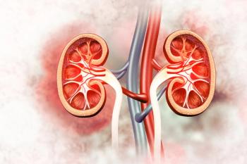 Human kidneys anatomy structure, kidney disease. 3d illustration | Image Credit: © Crystal light - stock.adobe.com
