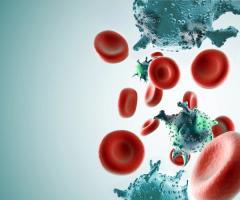 EP. 7 Menin Inhibitors Show Promise in Future AML Treatment