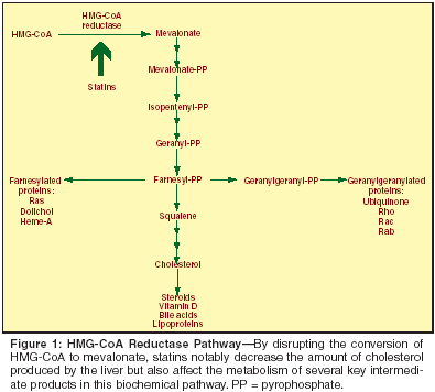 The Role Of Statins In Cancer Prevention And Treatment