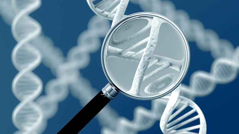 circulating tumor DNA