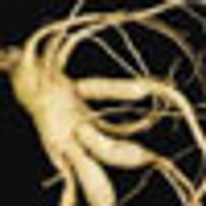 Ginseng