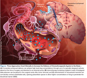 Optimizing the Delivery of Antineoplastic Therapies to the Central Nervous System 