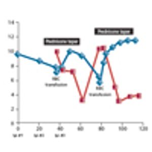 A 60-Year-Old Man With Progressive Anemia While Receiving Checkpoint Blockade Therapy for Relapsed Myelofibrosis