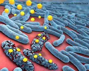 Effect of Antibiotics on Immunotherapy Outcomes ‘Urgently Requires’ Further Look