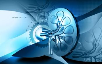 Kidney