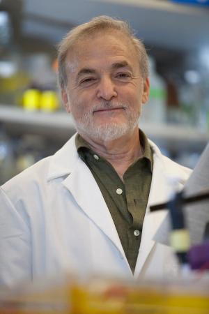 Uncovering Epigenetic Targets in Cancer