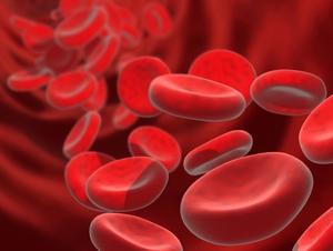 The long-term safety profile of equecabtagene autoleucel was manageable, with no new safety signals identified in those with multiple myeloma.