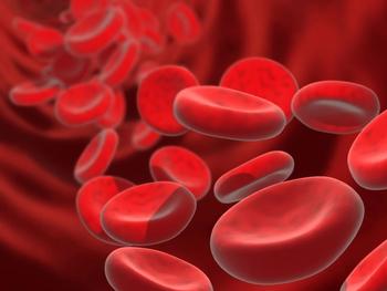 The long-term safety profile of equecabtagene autoleucel was manageable, with no new safety signals identified in those with multiple myeloma.