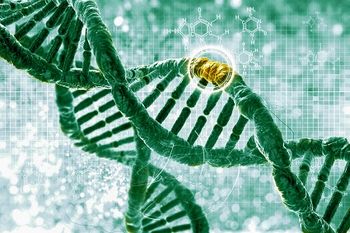 In those being screened for hereditary breast and ovarian cancer syndrome, use of a video tool improved the duration of physician-led genetic counseling.