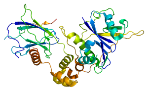 Expert Commentary on the product profile of  Belzutifan for Renal Cell Carcinoma