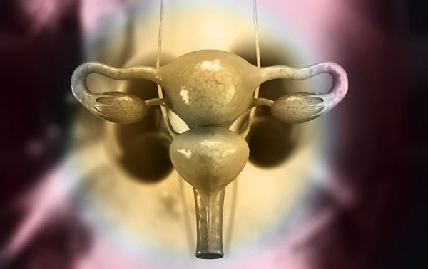 The median PFS for patients with ovarian cancer who received niraparib maintenance in the real-world setting was 25.7 months.