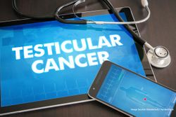 Study Shows Efficacy of Single-Cycle BEP in Preventing Testicular Cancer Recurrence