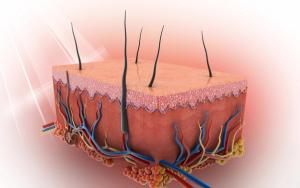 Patients with non-melanoma skin cancer achieved promising antitumor activity following treatment with RP1 and nivolumab.