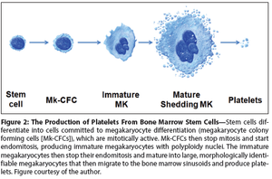 Managing Thrombocytopenia Associated With Cancer Chemotherapy