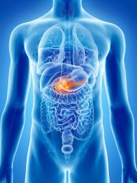 The FDA issued a “safe to proceed” letter for an expanded access program for daraxonrasib in metastatic pancreatic ductal adenocarcinoma.