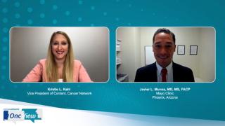 Factors in Choosing Relapsed/Refractory Follicular Lymphoma Treatments