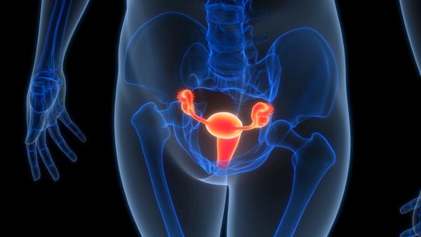 Rina-S Elicits Responses in PROC Regardless of FRα Expression: © magicmine - stock.adobe.com