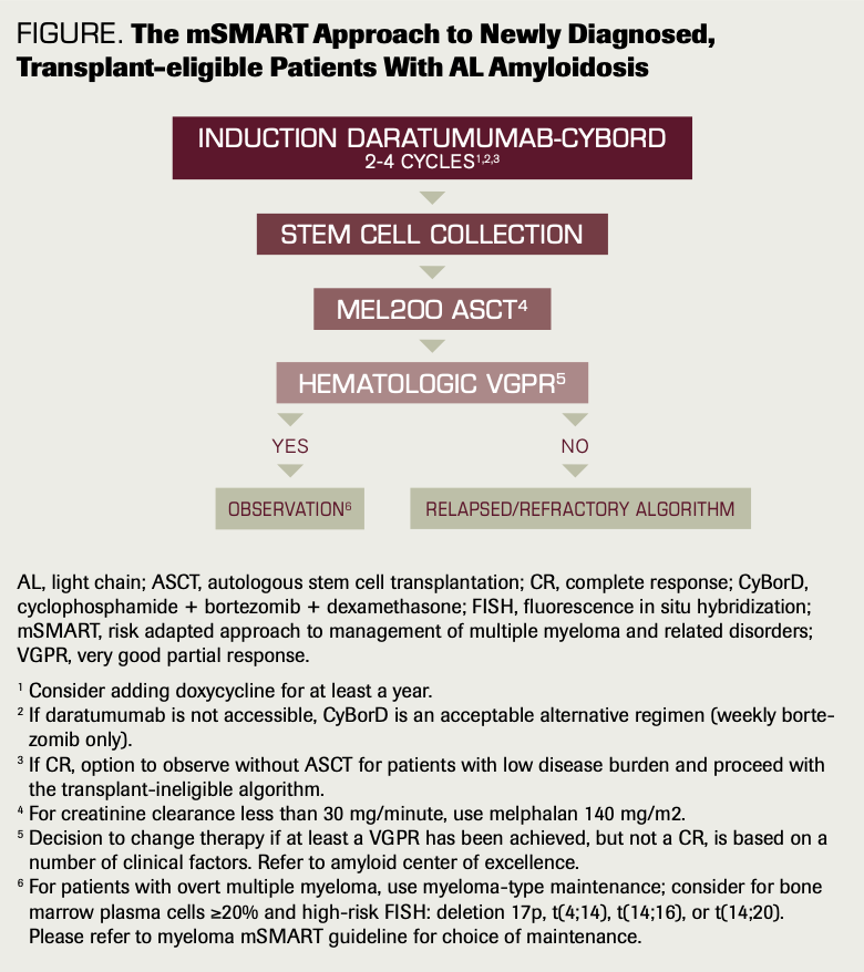 FIGURE. The mSMART Approach to Newly Diagnosed, Transplant-eligible Patients With AL Amyloidosis
