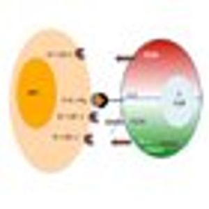 High-Dose Interleukin-2: Is It Still Indicated for Melanoma and RCC in an Era of Targeted Therapies?