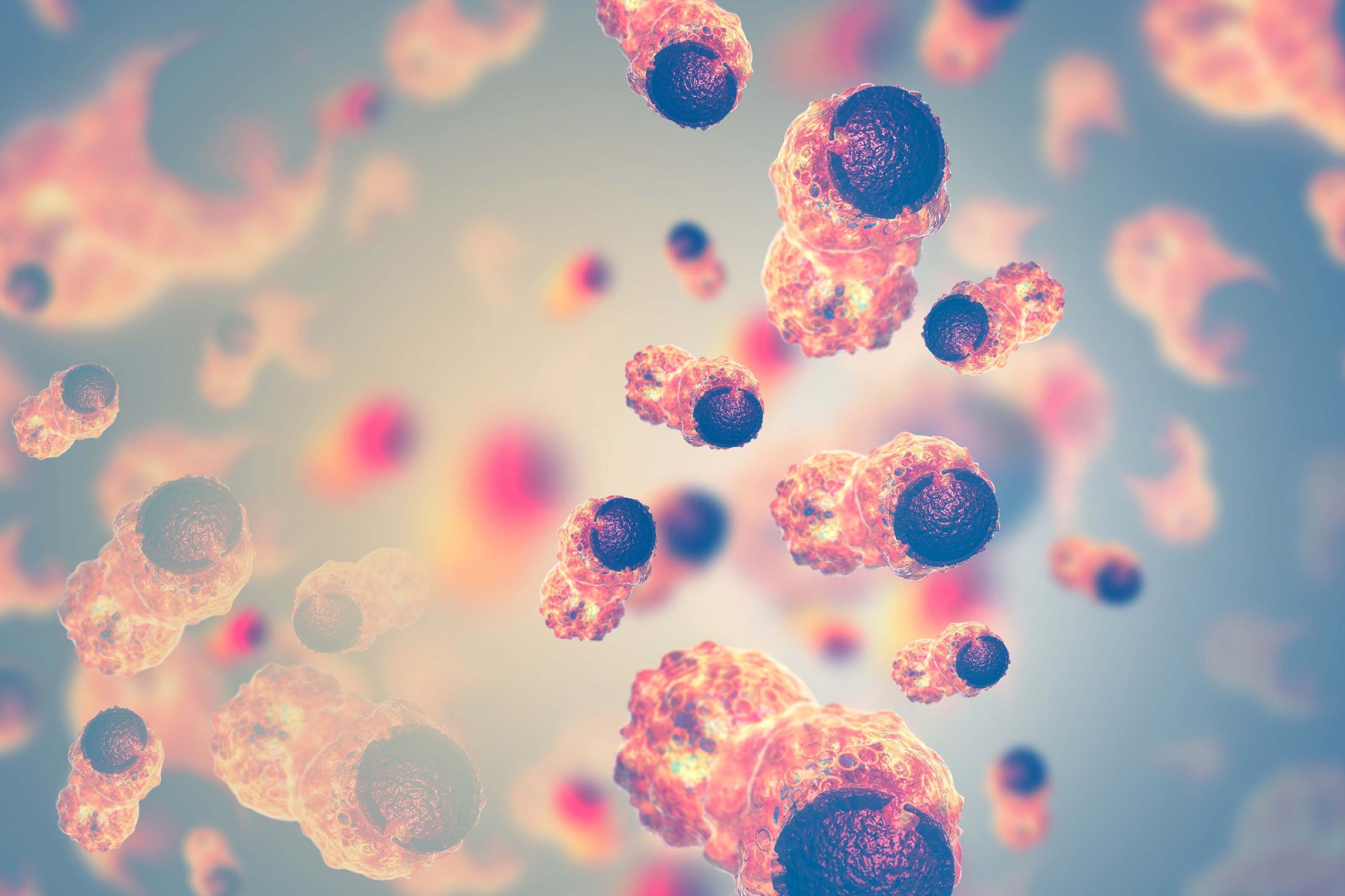 Among patients with NPM1-mutated and KMT2A-rearranged disease, respectively, the ORR was 65% and 41% in the phase 1 KOMET-007 trial.