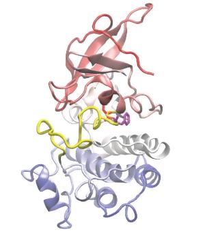 Expert Commentary on the Product Profile of Amivantamab-vmjw