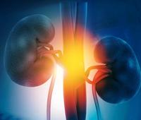 The developers will present these data at an upcoming medical meeting and plan to begin discussions with regulatory authorities.